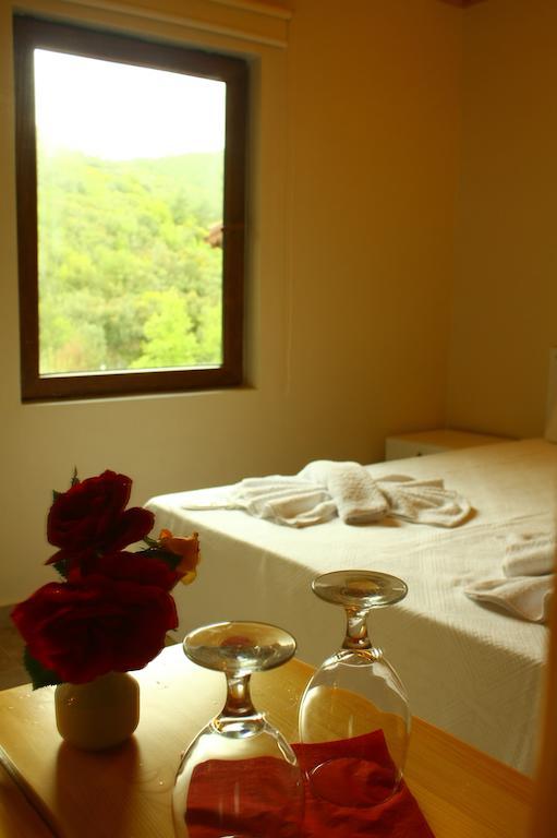 Agaclihuyuk Uyku Vadisi Hotel חדר תמונה